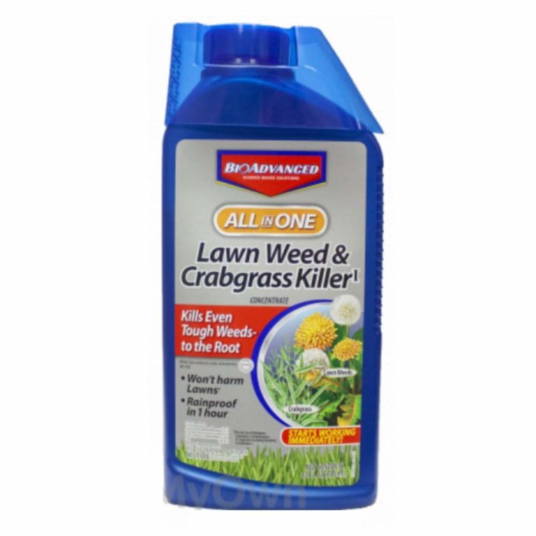 Bayer Advanced Weed Killer Review in July 2024 Grass Killer