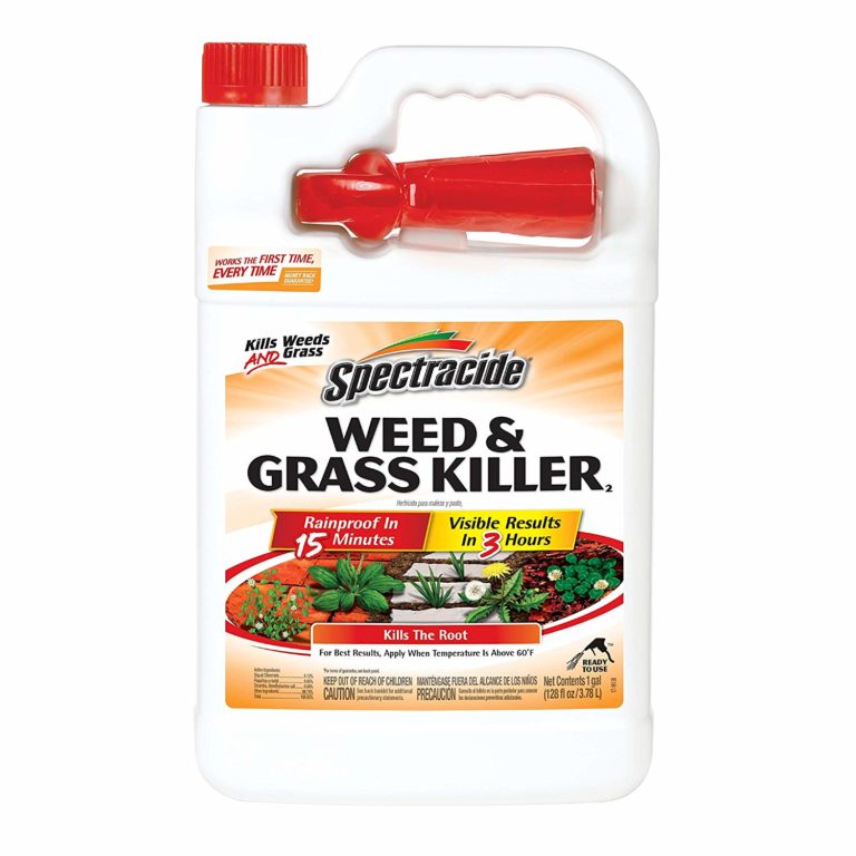 Top 5 Best Weed Killers For Flower Beds [April 2024 Review] Grass Killer