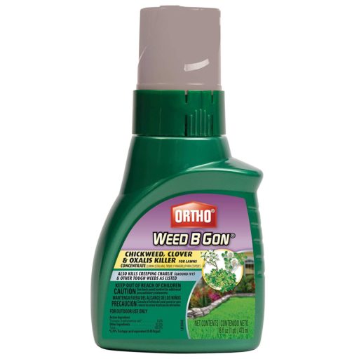 Top 5 Best Weed Killers For Creeping Charlie [August 2024 Review