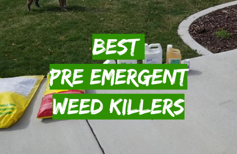 Top 5 Best Pre Emergent Weed Killers [2021 Review] Grass Killer