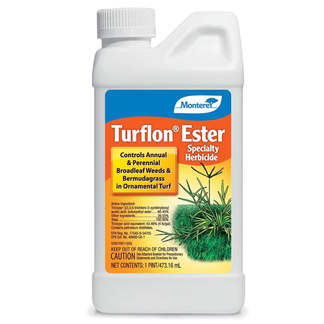 Top 5 Best Weed Killers For Bermuda Grass [August 2024 Review] Grass