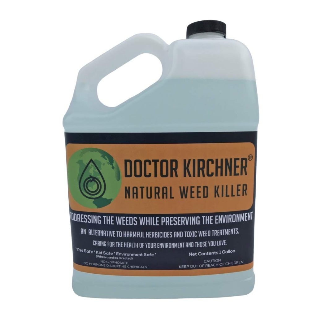 Top 5 Best Weed Killers For Flower Beds [September 2024 Review] Grass