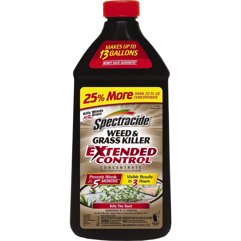 Top 5 Best Weed Killers For Driveways [March 2025 Review] Grass Killer