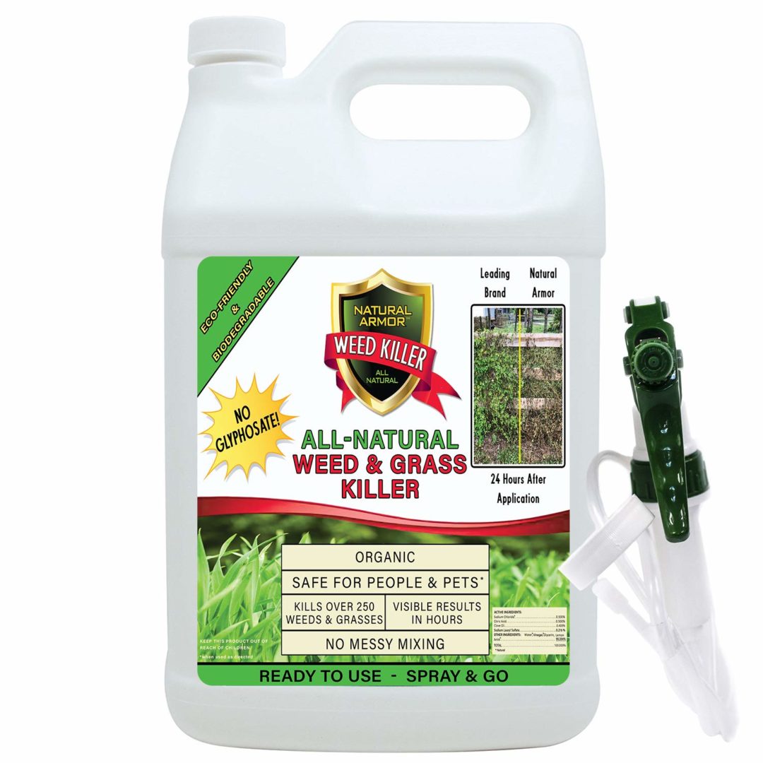 Best Natural Weed Killer Formula: Effective Eco-Friendly Weed Control
