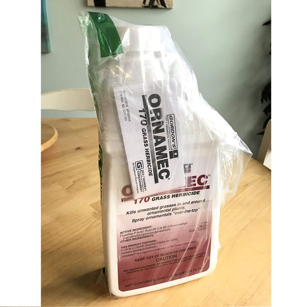 Top 5 Best Weed Killers For Bermuda Grass [August 2024 Review] Grass