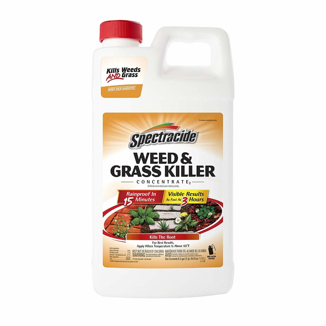 Top 5 Best Weed Killers For Flower Beds [September 2024 Review] Grass