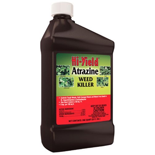Top 5 Best Weed Killers For St. Augustine Grass [September 2024 Review