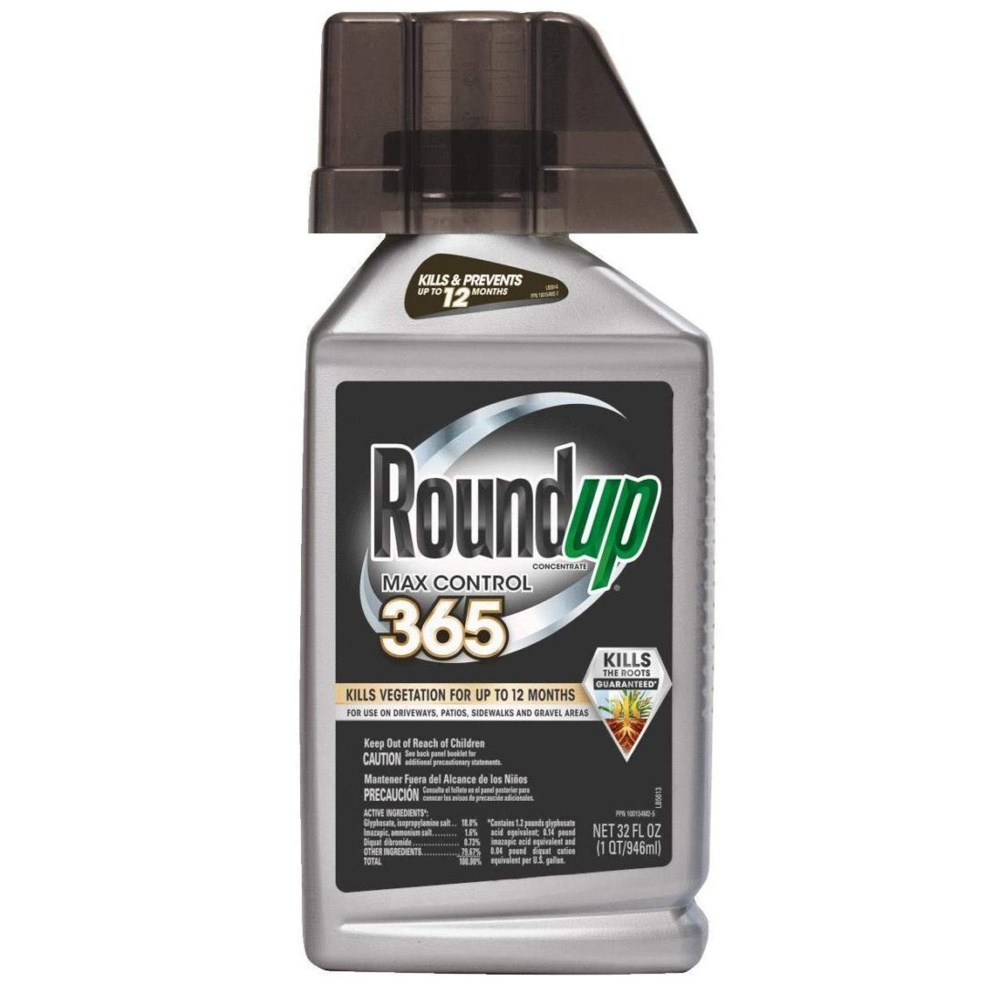 Top 5 Best Weed Killers For Gravel [August 2024 Review] Grass Killer