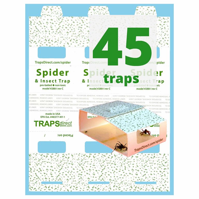 Top 5 Best Centipede Killers [August 2024 Review] Grass Killer