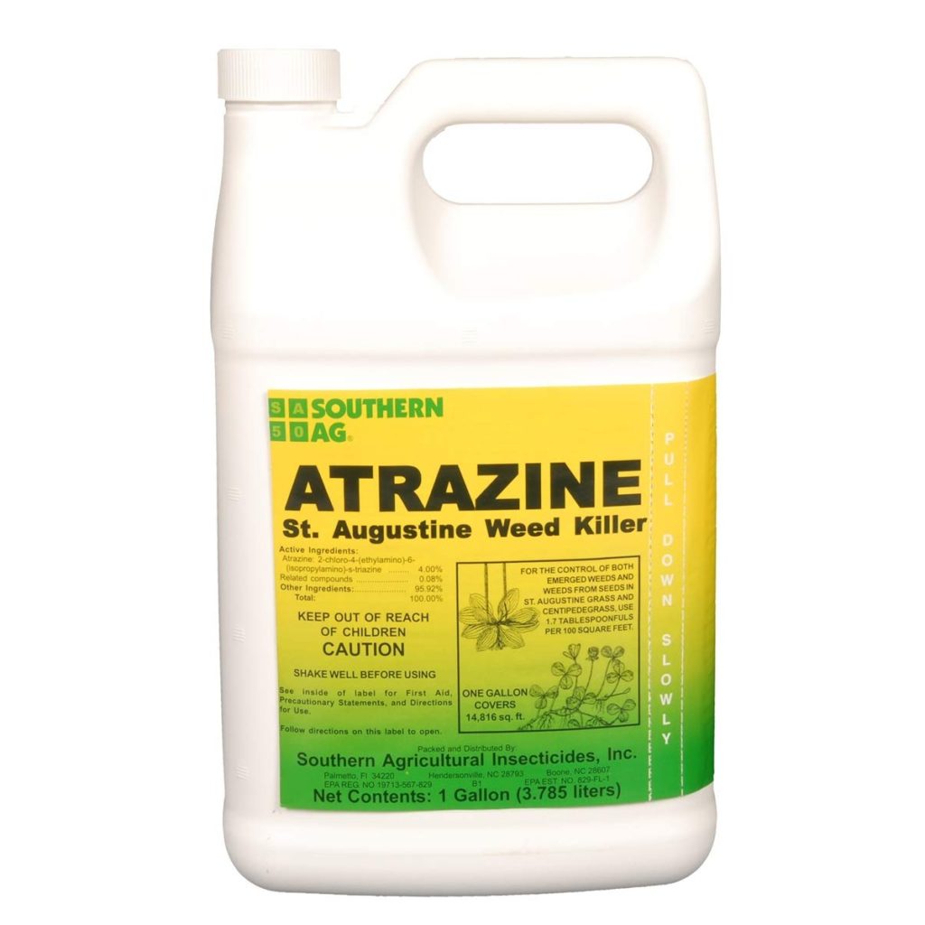 Top 5 Best Weed Killers For St. Augustine Grass [September 2024 Review