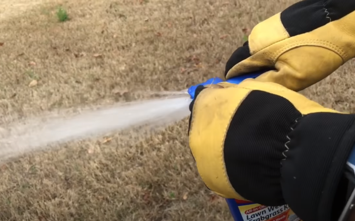 How to Use a Weed Killer [Guide For Beginners] Grass Killer