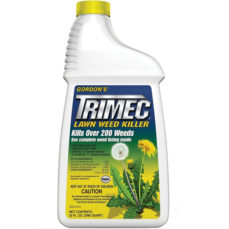 Top 5 Best Herbicides for Thistles [September 2024 Review] Grass Killer