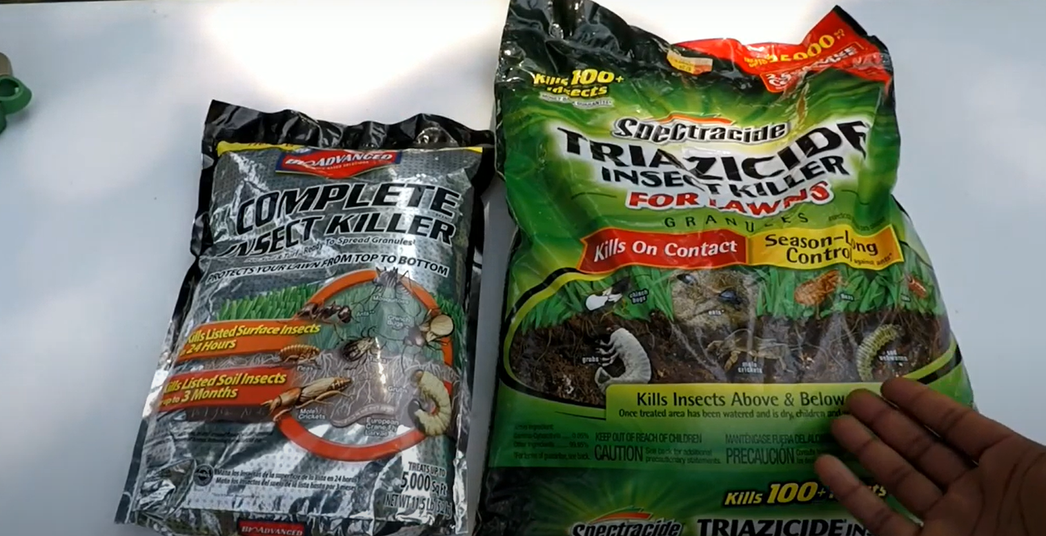 Top 5 Best Grub Killers for Lawns [May 2024 Review] Grass Killer