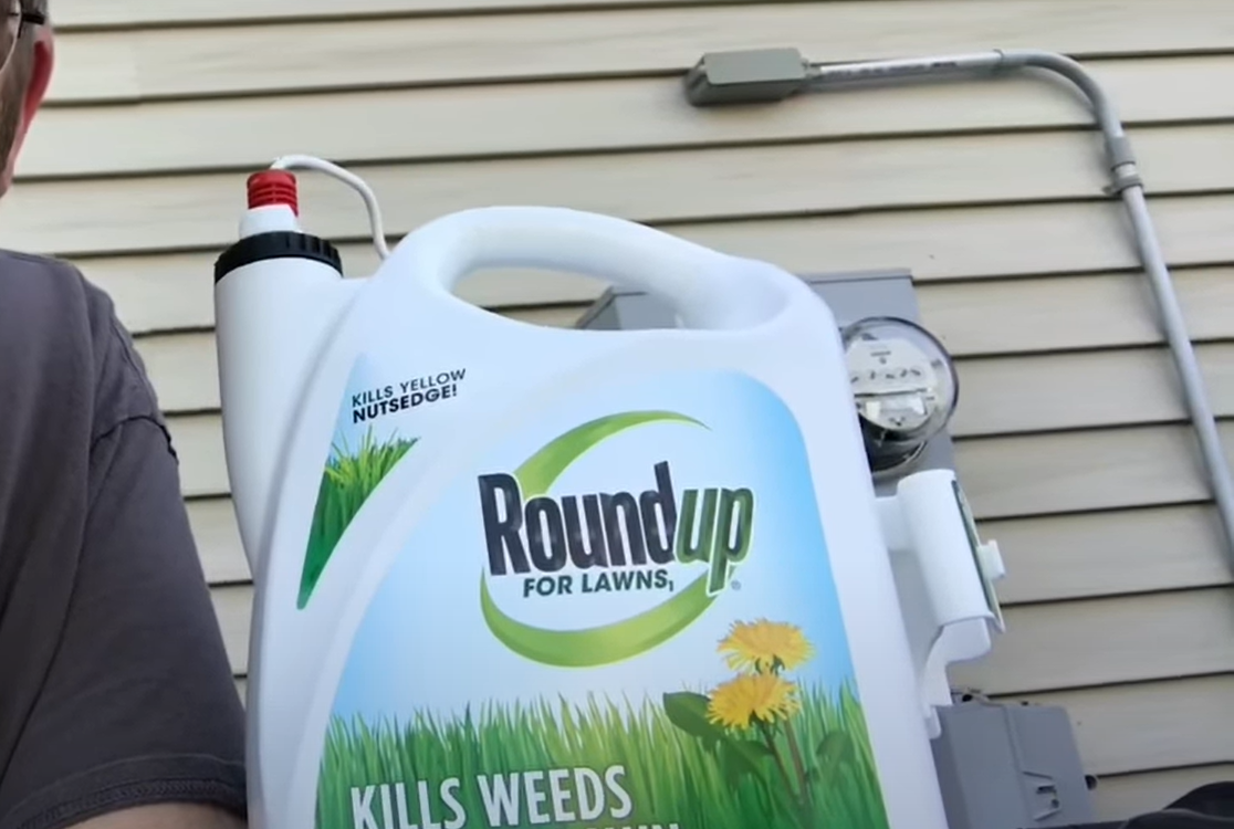 Roundup Weed Killer for Lawns Review in April 2024 Grass Killer