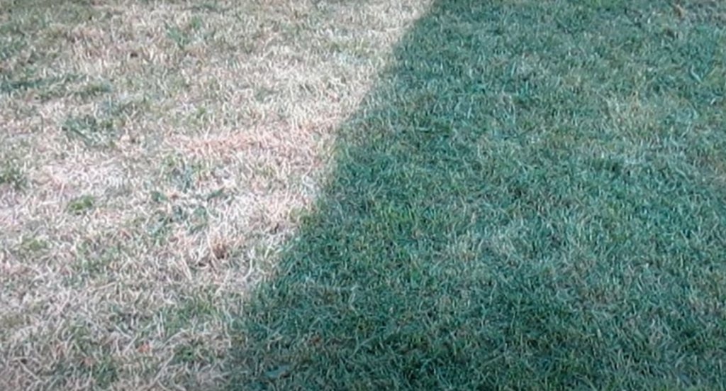 How Long Does Weed Killer Stay in Soil? Grass Killer