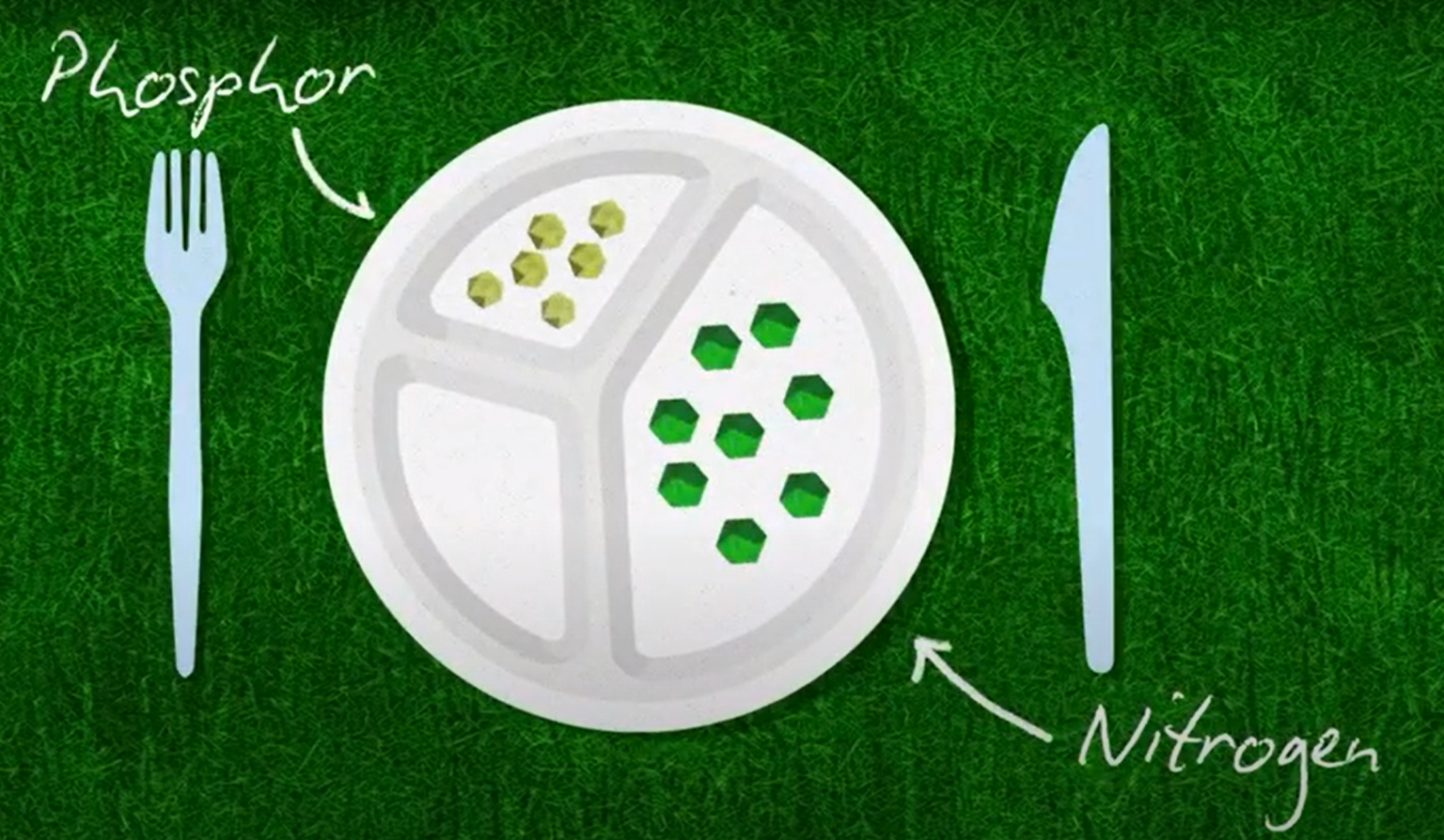 2) Feed your Bermuda grass lawn properly