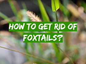 RM43 Mixing Ratio Guide: How to Spray RM43 - Grass Killer
