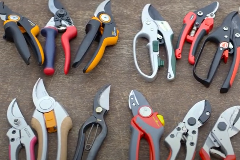 How to Kill Pampas Grass? Grass Killer