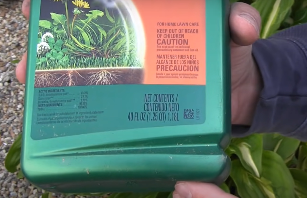 How to Get Rid of Creeping Charlie? - Grass Killer