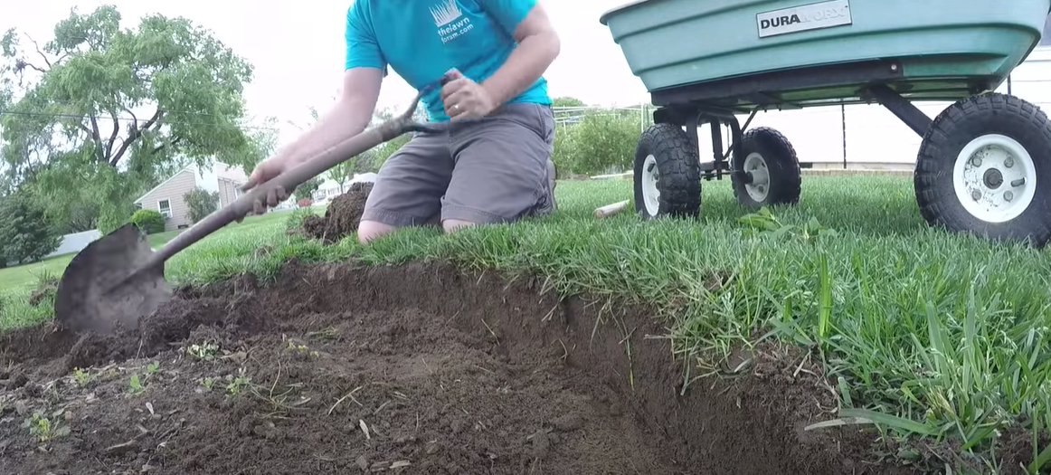 How to Kill Grass Around Trees? Grass Killer