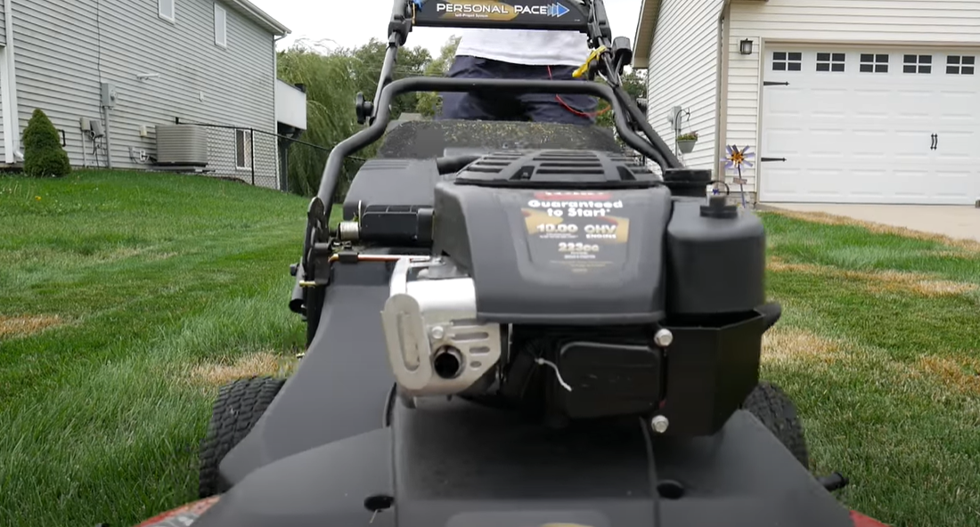 How to Get Rid of Tall Fescue? Grass Killer