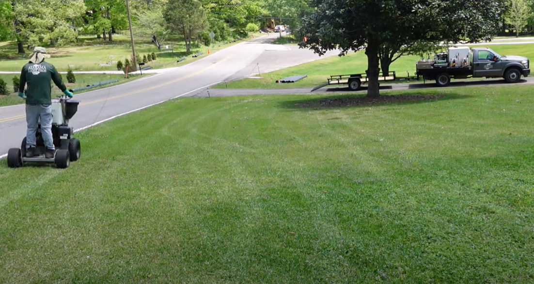 How to Kill Clover in St. Augustine Grass? Grass Killer