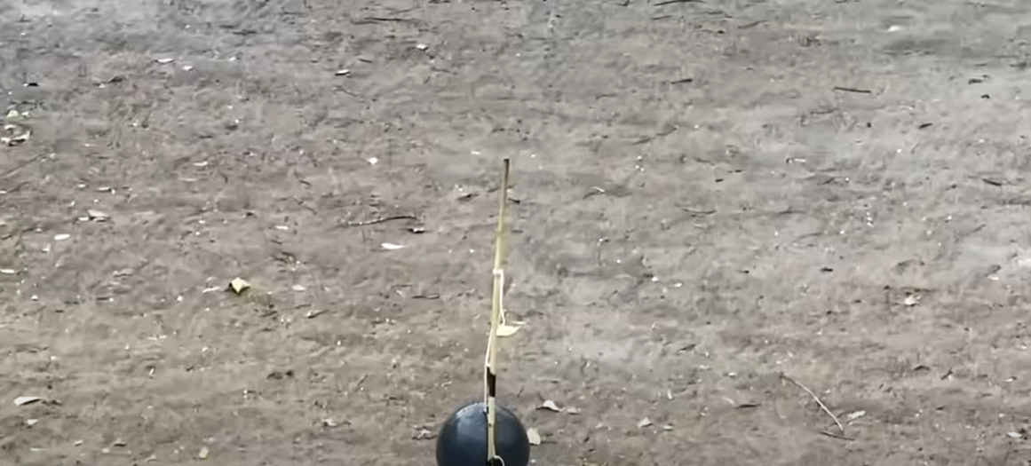 How to Revive Grass After Weed Killer? Grass Killer